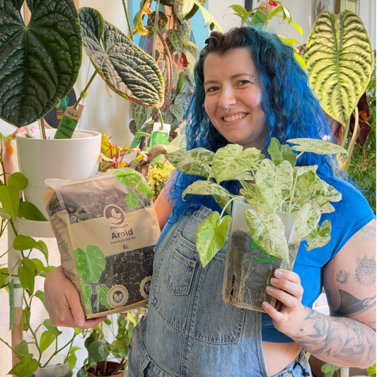 Smiling person holding a soil bag and a potted syngonium indoors
