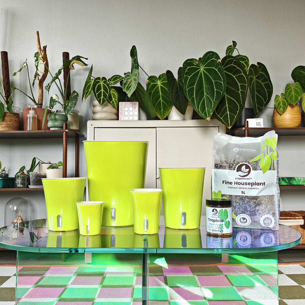 Grønne potter, jordpose og glas med plantenæring blandt stueplanter