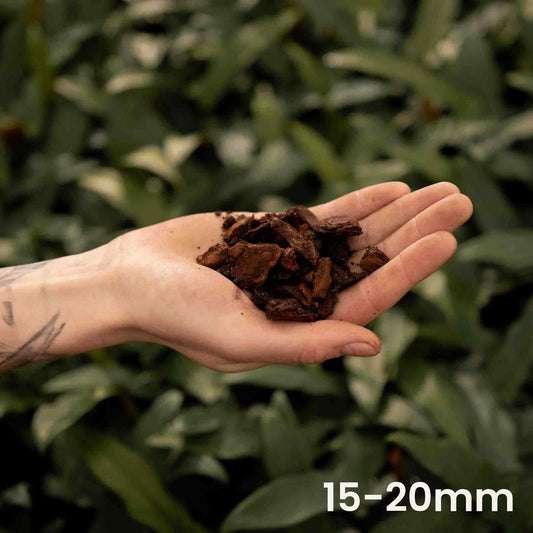 Mano sosteniendo trozos de corteza para orquídeas de 15 a 20 mm