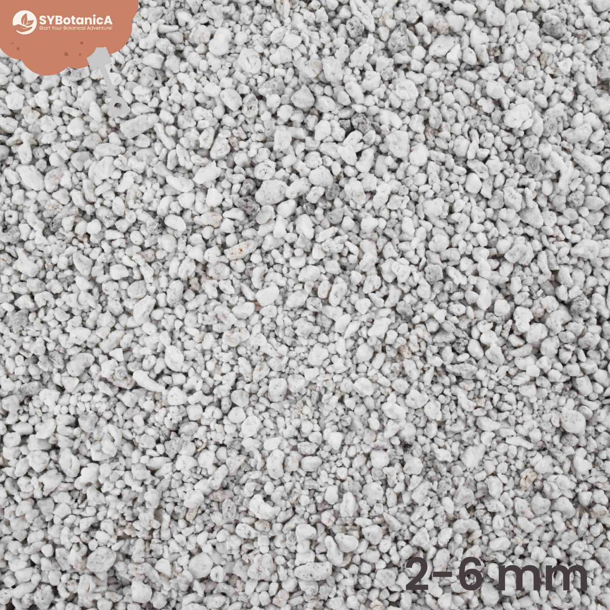 Close-up of white perlite granules with size label, bulk perlite