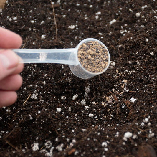 Mano sosteniendo cuchara con fertilizante granulado sobre la tierra