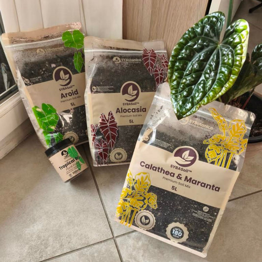 Three soil bags on a tiled floor beside a potted anthurium, best soil for calathea