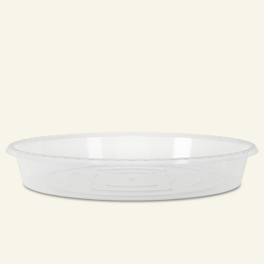 Empty clear plastic oval saucer on cream background, clear plant pot saucer