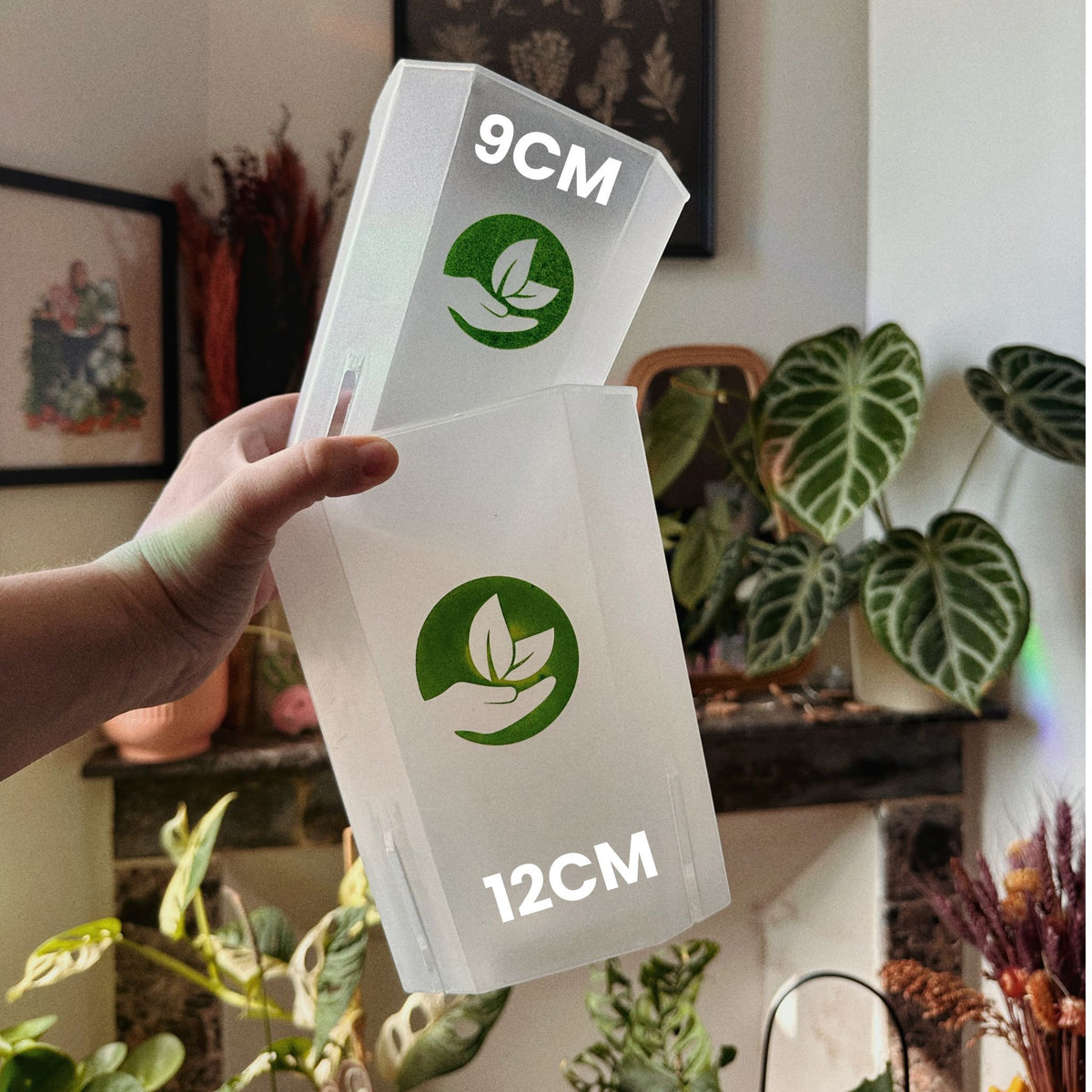 Hand holds two clear plastic pots labeled 9cm and 12cm, square clear plant pots