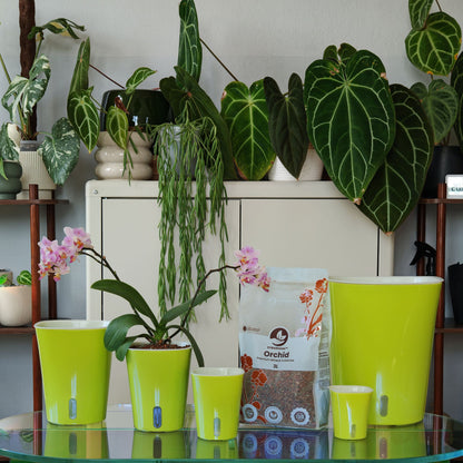 Pots vert clair et sachet de substrat pour orchidées sur étagère, pot reserve d'eau carré