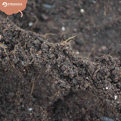 Close-up of dark crumbly soil mix with perlite, base soil