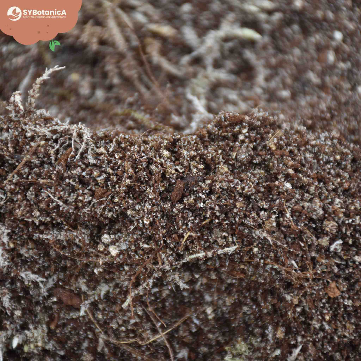 Close-up of dark soil mix with roots and perlite