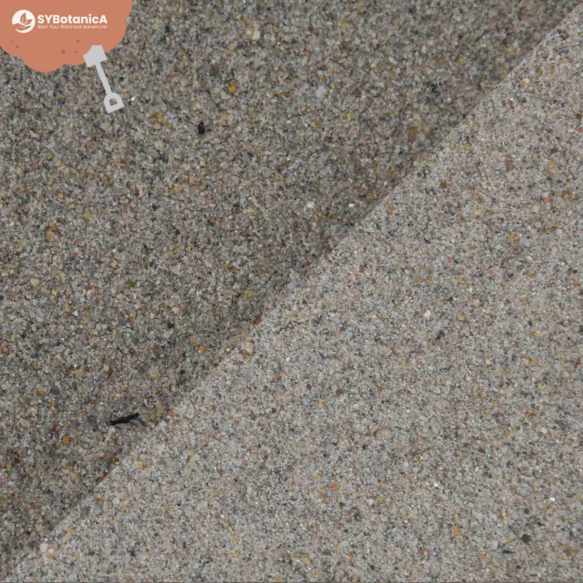 Close-up texture of coarse horticultural sand grains