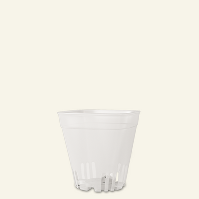 Ø6.3cm (0.1L)