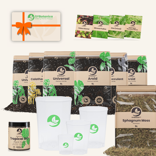 Gift card, seed packets, soil bags, pots, moss, fertilizer, plant parent upgrade kit