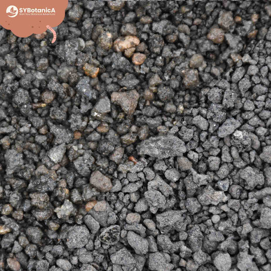 Close-up of dark grey volcanic lava gravel granules