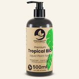 Piante tropicali
