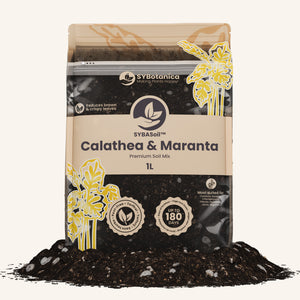 Standing 1L pouch of dark mix with yellow calathea leaf illustrations