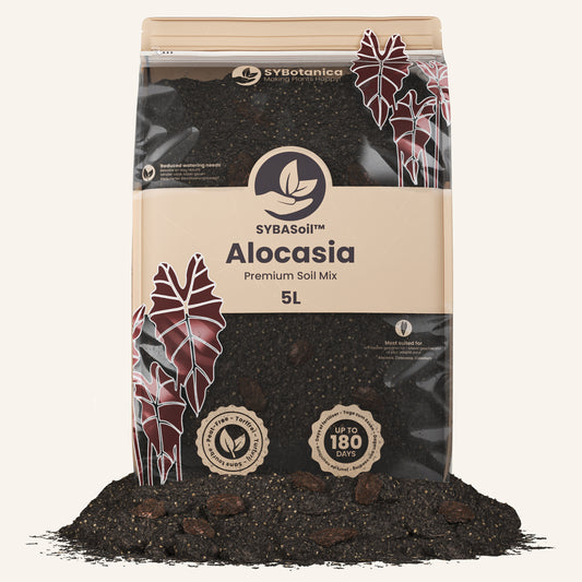 Standing 5L pouch of dark mix with red-veined leaf illustrations, best soil for alocasia