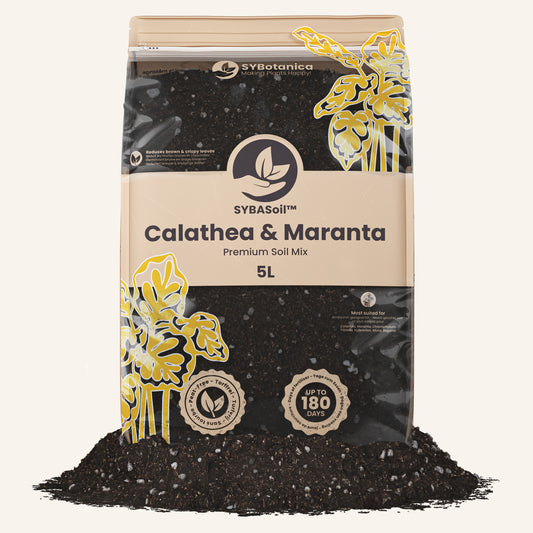 Standing 5L pouch of dark mix with yellow calathea leaf illustrations, best soil for calathea