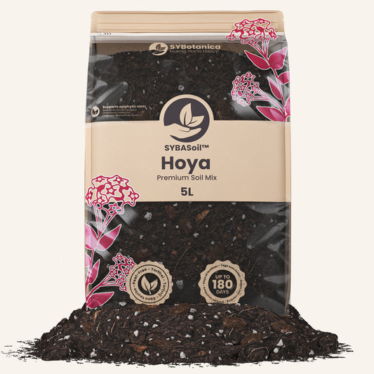 Bag of Hoya premium soil mix with pile, best soil for hoya