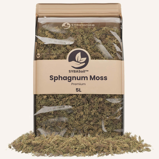 Bag of dried sphagnum moss with spilled contents