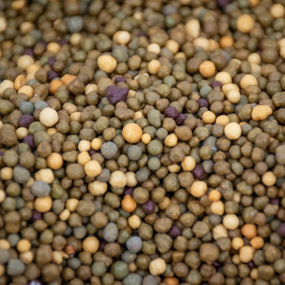Närbild på kaktus långsamfrigörande växtnäring med blandade färgade granulat och pellets