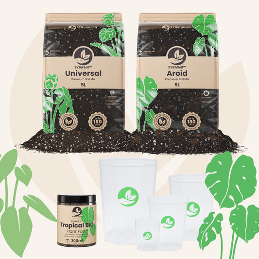 Two soil bags, plant food jar, and clear pots, monstera & philodendron welcome bundle