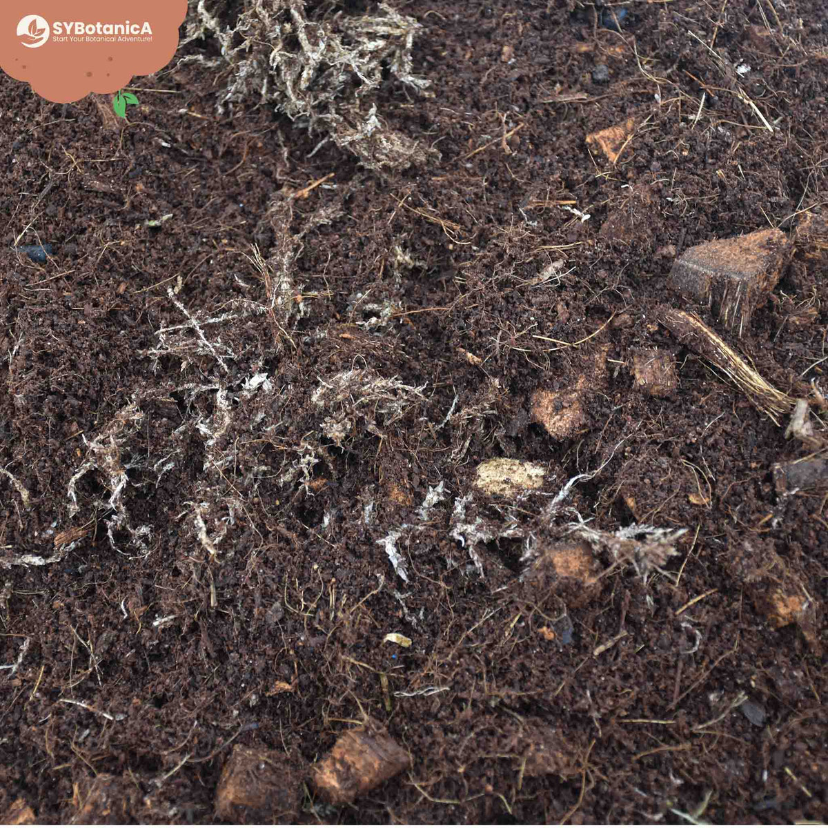 Dark soil mix with white roots and wood chunks