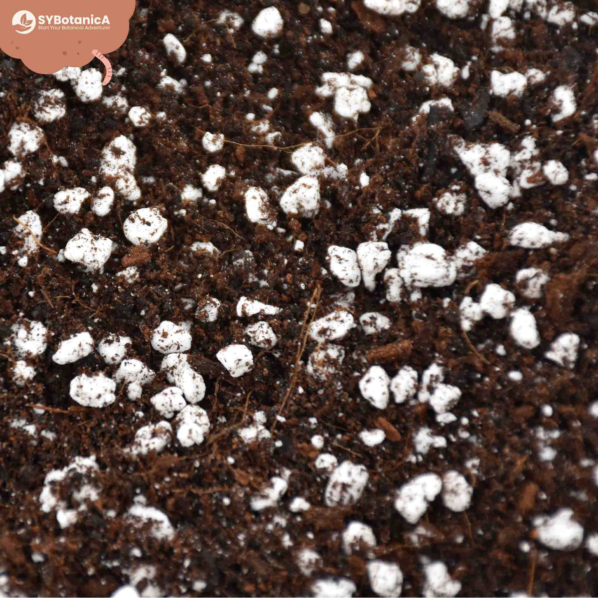Close-up of dark soil mixed with white perlite chunks