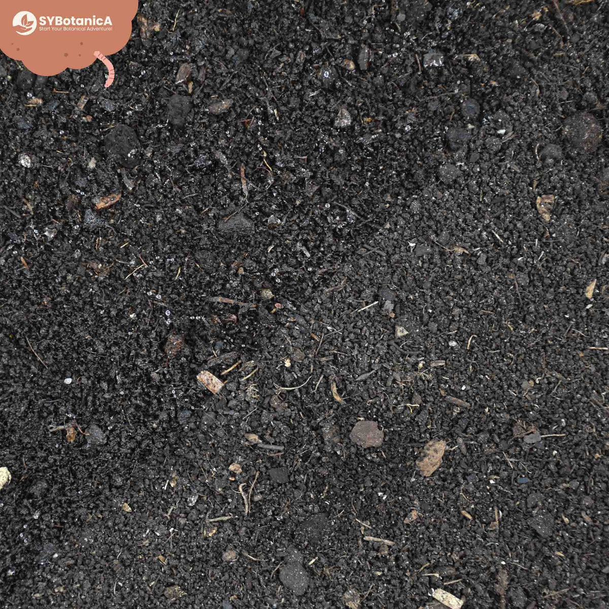 Close-up of dark, moist worm castings soil texture