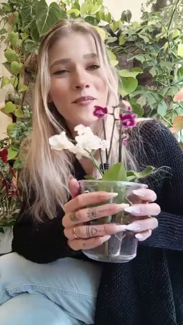 Manon