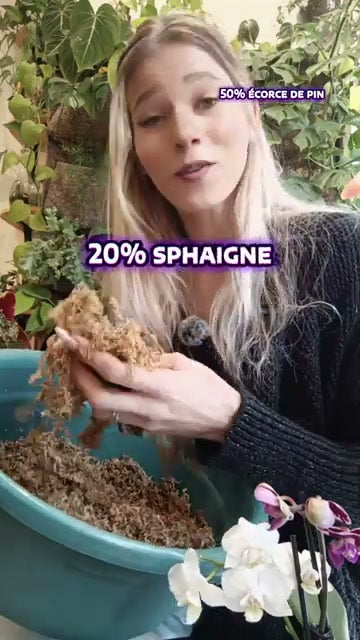 Manon