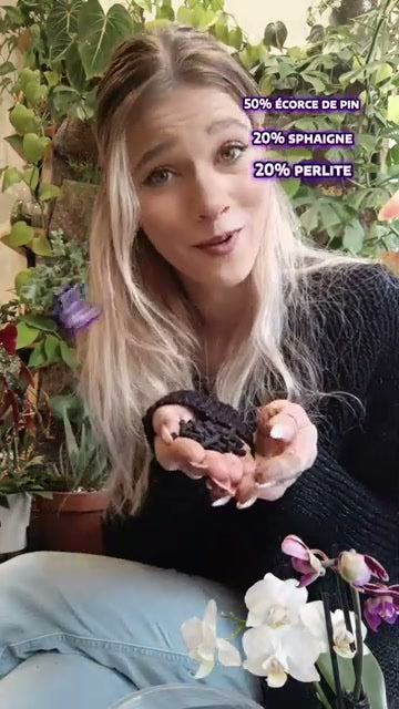 Manon