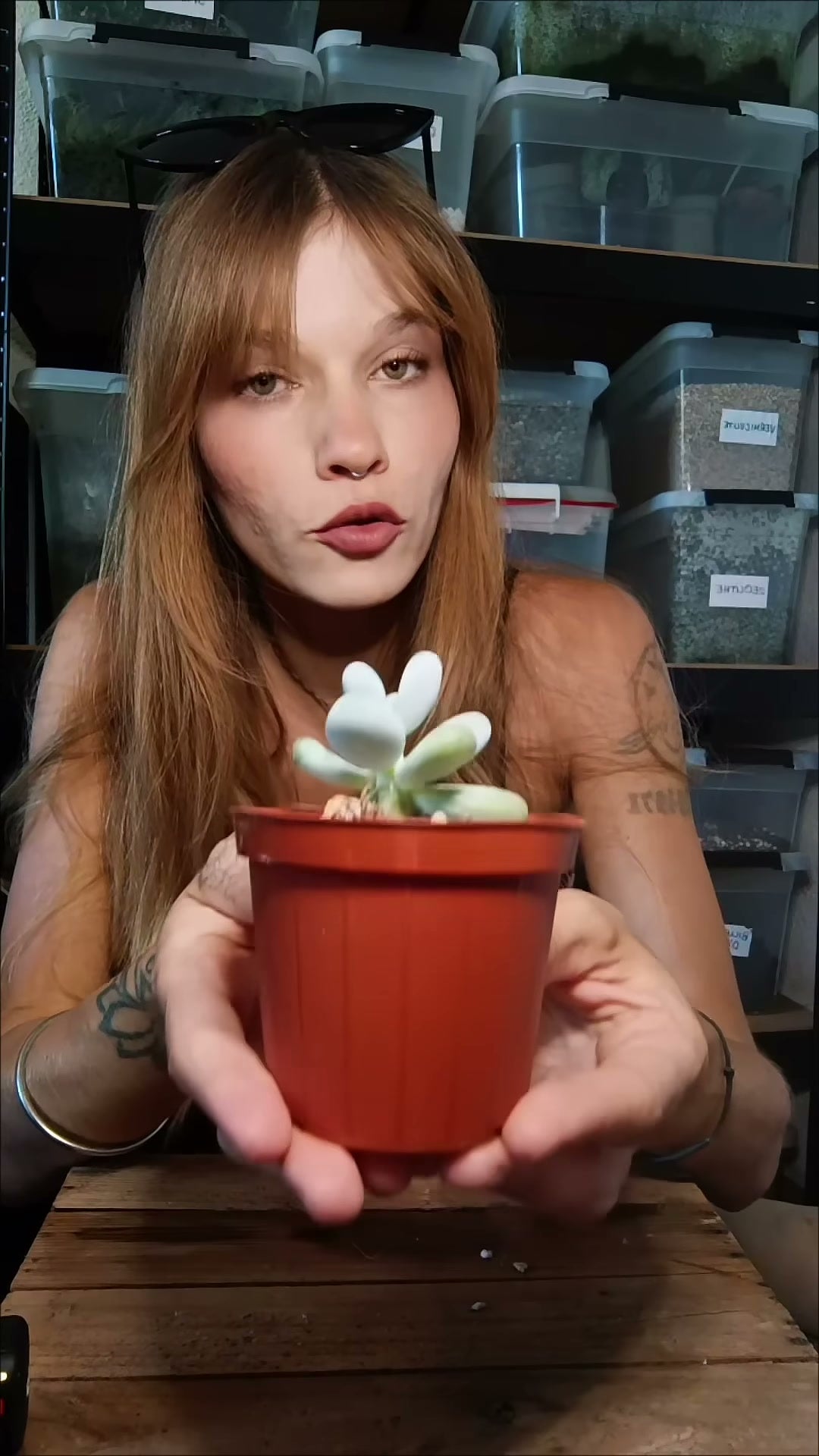 Manon