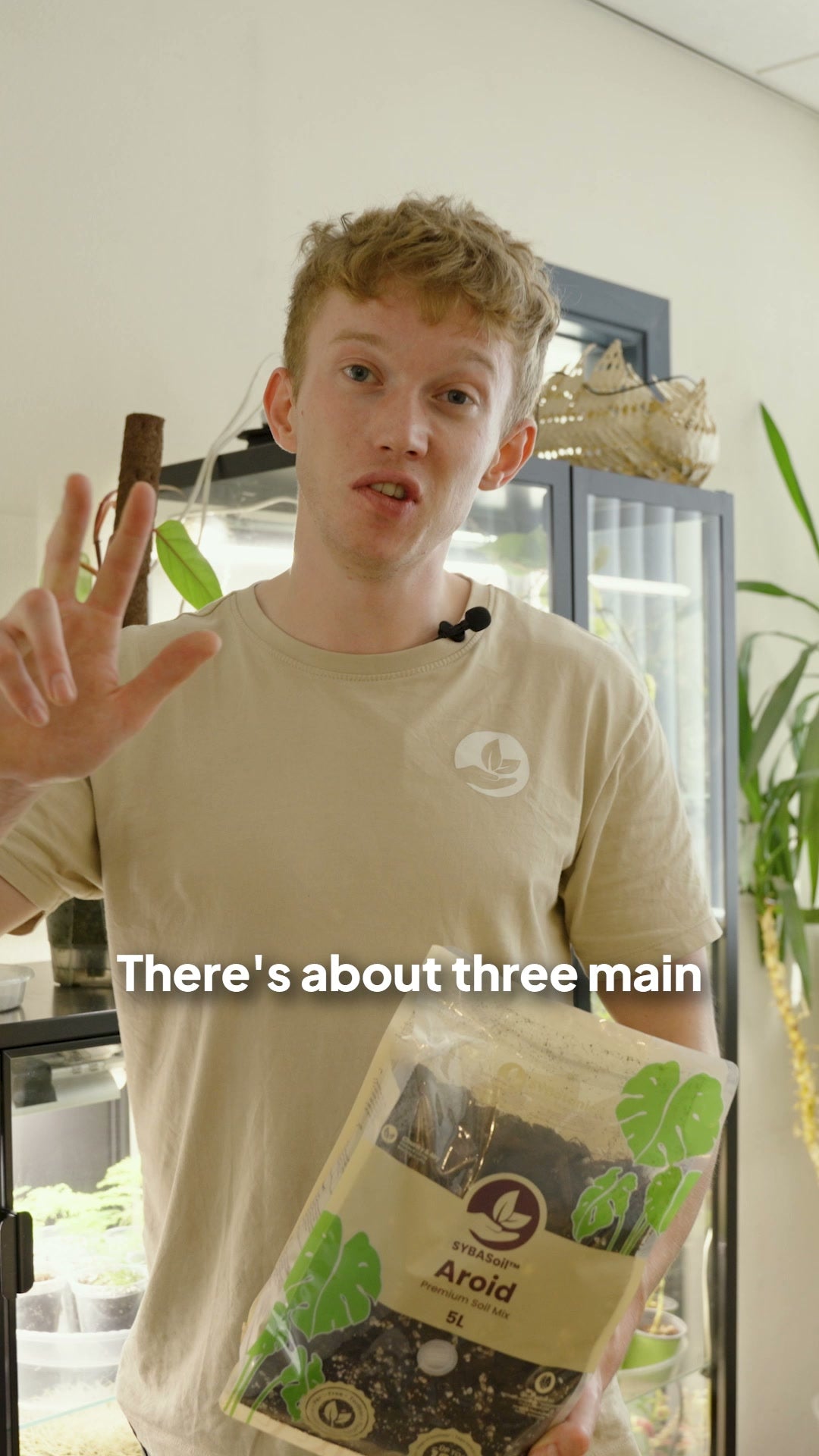 Sybren
