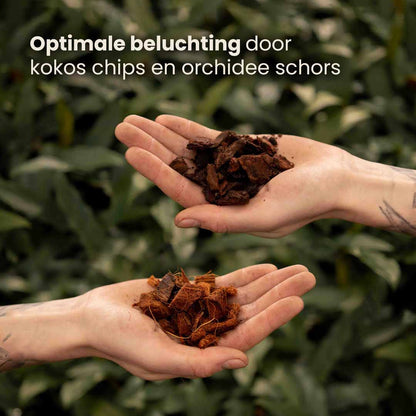 anthurium_productafbeelding_nl_ingredients