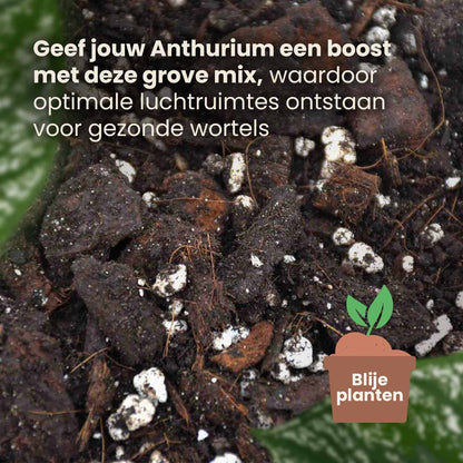 anthurium_productafbeelding_nl_structure