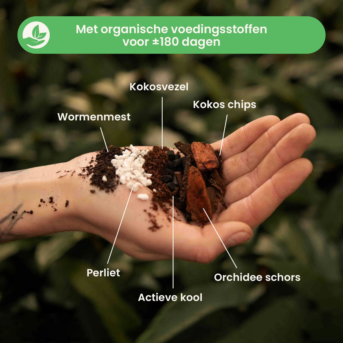 anthuriummix_ingredients_nl