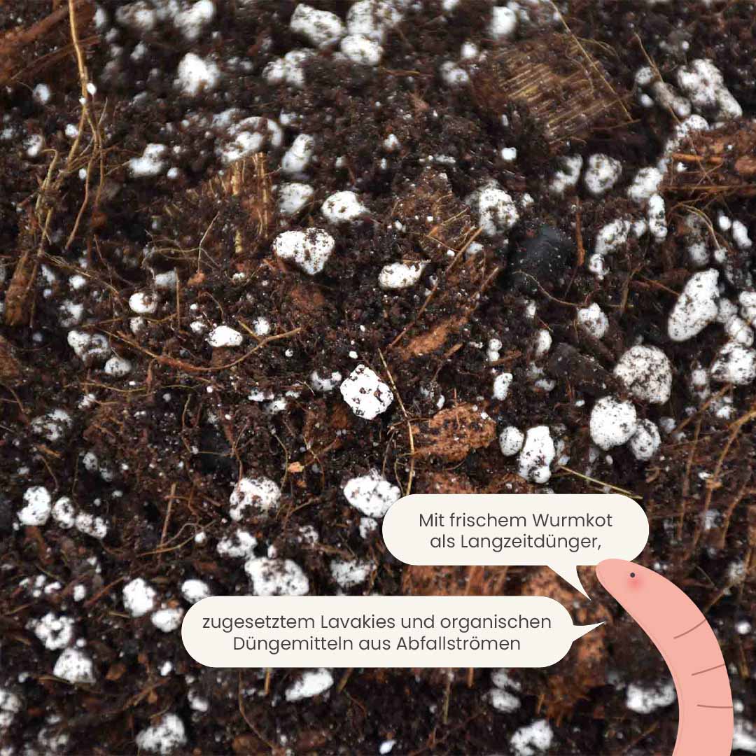 aroid_productafbeelding_du_fertiliser