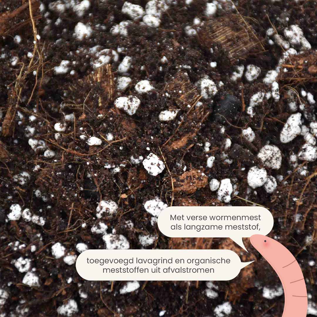 aroid_productafbeelding_nl_fertiliser