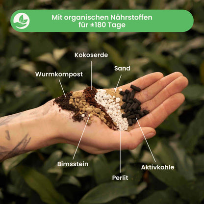 cacti&succulentmix_ingredients_du