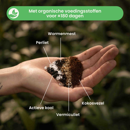 calathea&marantamix_ingredients_nl