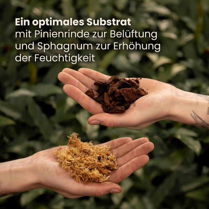 orchid_productafbeelding_du_ingredients