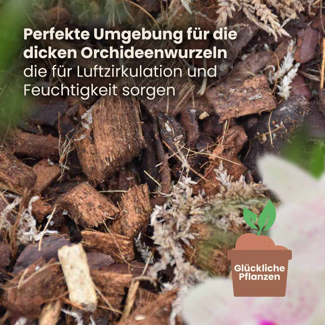 orchid_productafbeelding_du_structure
