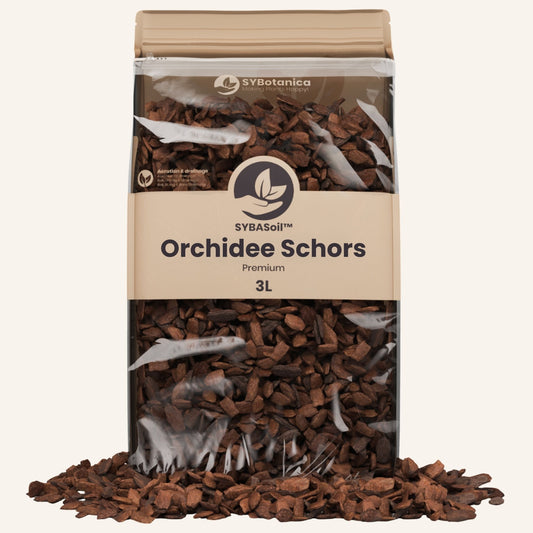 Zak orchidee schors die uitstroomt op het oppervlak