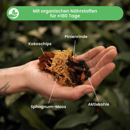 orchidmix_ingredients_du