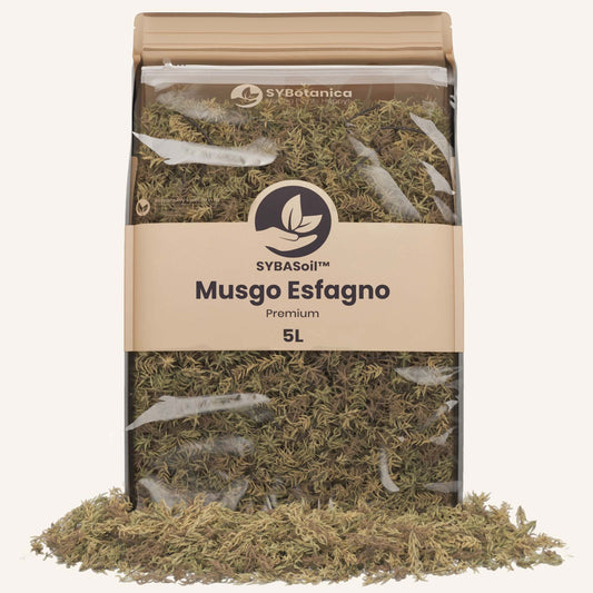 Saco com musgo esfagno seco e conteúdo derramado à frente
