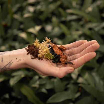 Hand holding soil, moss, charcoal, bark mix, terrarium substrate